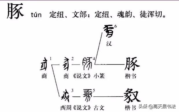 猪在古代的称呼，猪在古代叫什么（“猪”与“家”的汉字演变与文化内涵）