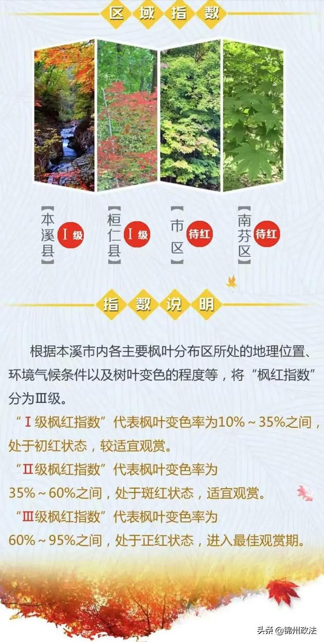 枫叶的特点，最佳观赏期还要等一等……（枫叶长什么样子）
