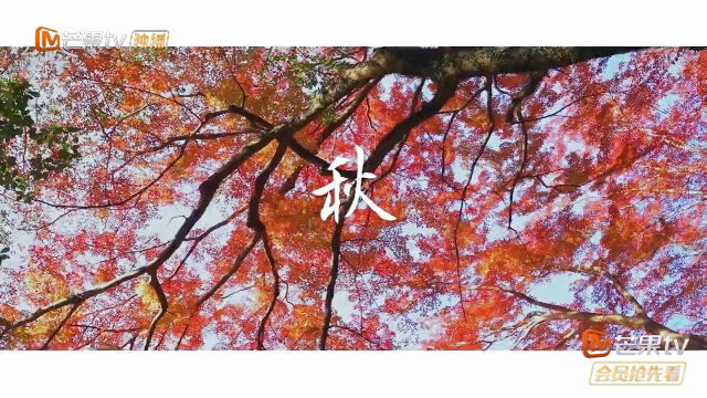 西岭雪山官网订门票，西岭雪山官网直播（含景区门票+交索往返）