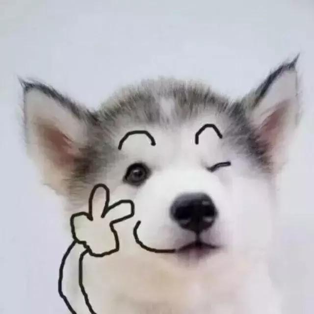 经典搞笑整蛊头像微信，经典搞笑整蛊头像（精选头像丨恶搞系列头像）