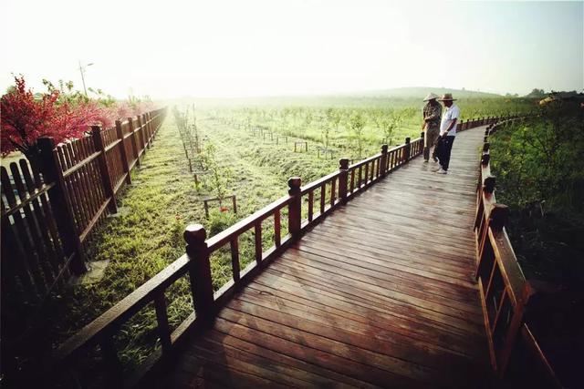 东辽县属于哪个市，东辽县属于哪个市管（辽源市东辽县安石镇朝阳村——全国乡村旅游重点村之一）