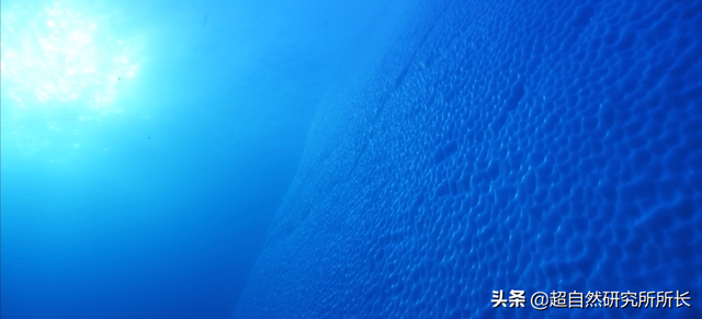 海底最深处的生物，10000米恐怖深海鱼（南极深处真的存在巨大的生物吗）