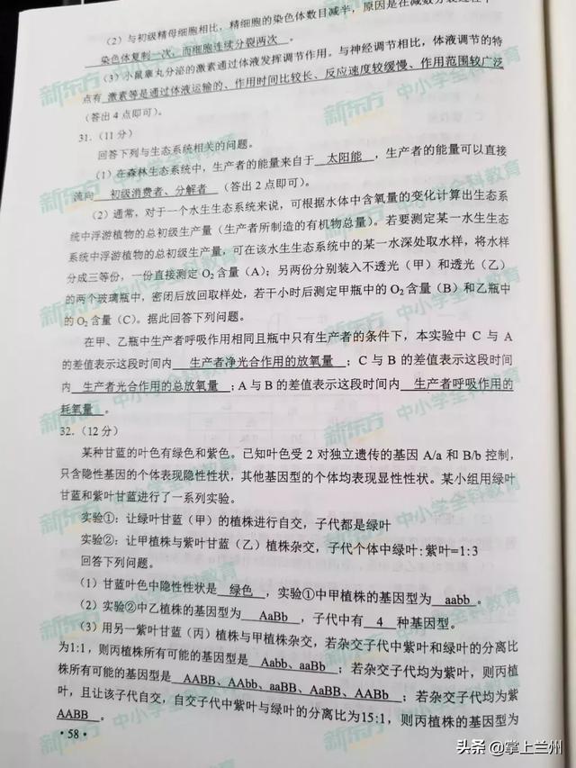 2022甘肃高考全科真题试卷及答案汇总，2022甘肃高考全科真题试卷及答案汇总图片（2019甘肃高考全科试题及答案来了）