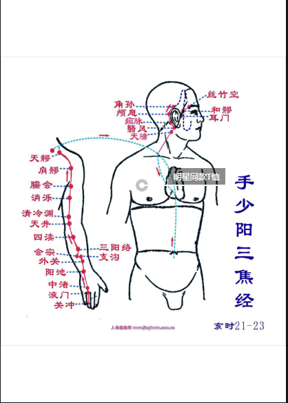 十二经络走向记忆法，十二经络走向记忆法2（12首穴位歌诀教你瞬间记住经络走向）