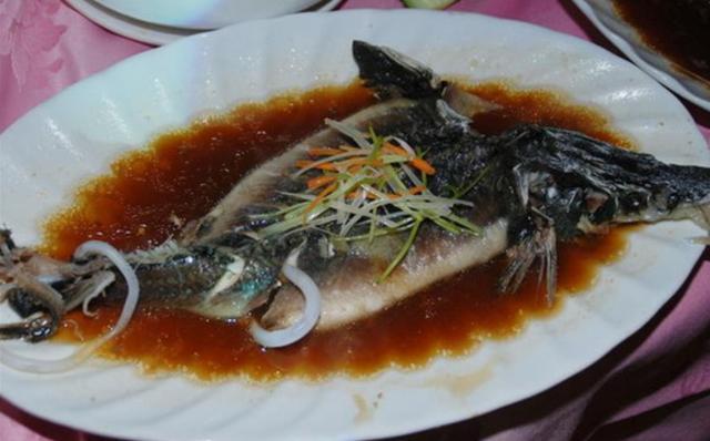 鲨鱼骨的做法，鲨鱼软骨做法（尖嘴斜齿鲨5种最好吃的家庭做法）