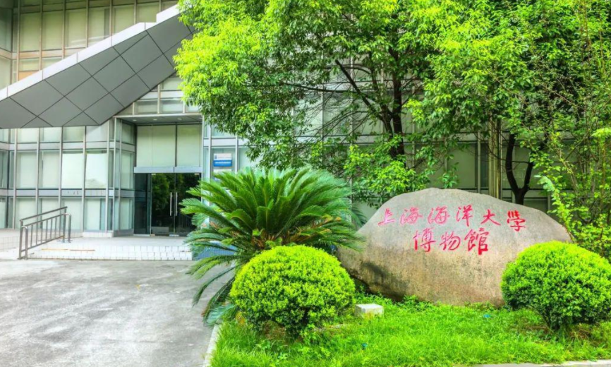 上海海洋大学怎么样，上海海洋大学到底怎么样（经常被误认为985高校）