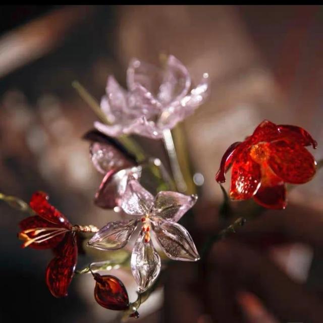 香皂花是什么材质做的，肥皂花是什么材料的（最适合懒人养的花）