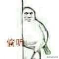 鸽子为什么这么大，鸽子为什么那么大是什么梗（鸽子为什么可以和人一样大）