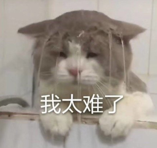 去猫虱子最简单的方法，猫如何除虱子（认真研究了猫的寄生虫和驱虫药后）