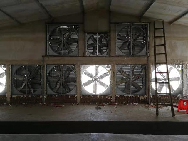 つぼみ10头母猪猪舍设计图，50头母猪舍猪场设计图（及设备图解）