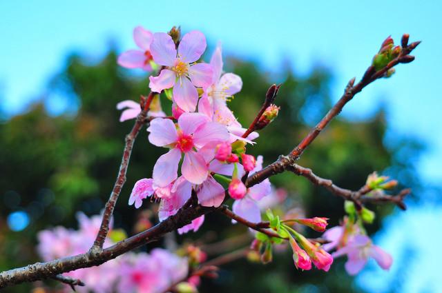 三七玩（深圳39个景点）