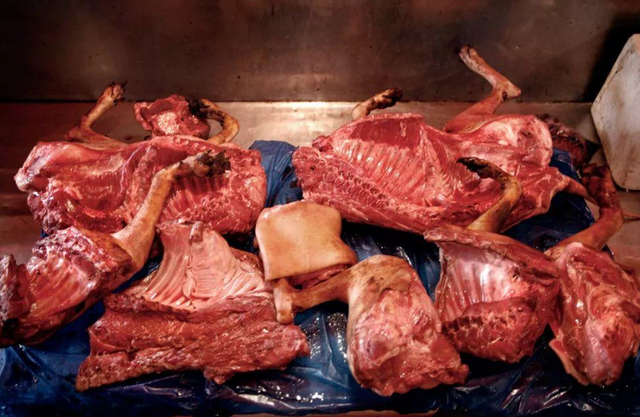 狗肉汤的做法有哪些，狗肉汤的做法有哪些图片（神仙美食狗肉煲）