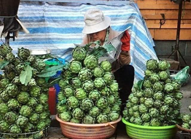 洋蓟怎么读，谁能给我普及点“洋”知识