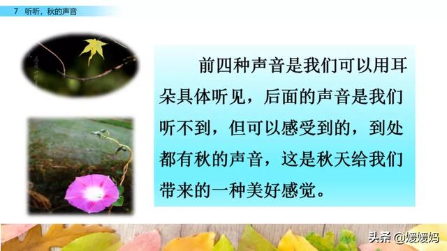 叮咛的近义词是什么，部编版三年级语文上册第7课《听听