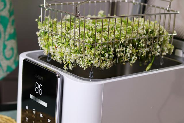 韭菜酱的做法 大家可以做一做，韭菜酱的做法（腌韭菜花酱原来这么简单）