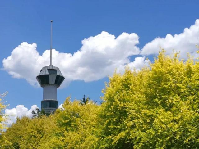 天津农学院是几本，天津农业学院是几本的（天津市普通高等院校）