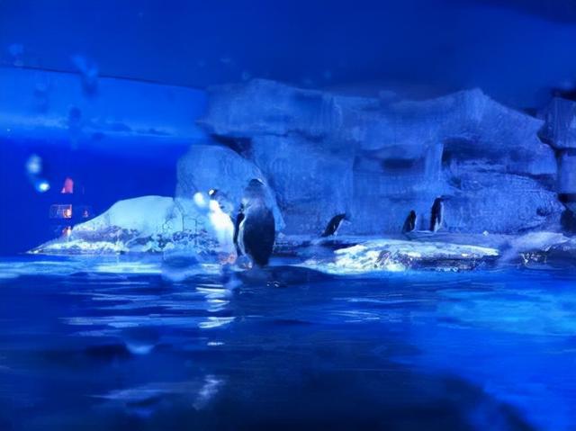 武汉好玩的地方，武汉有什么好玩的地方（武汉最值得去的十大景点及其特色小吃）