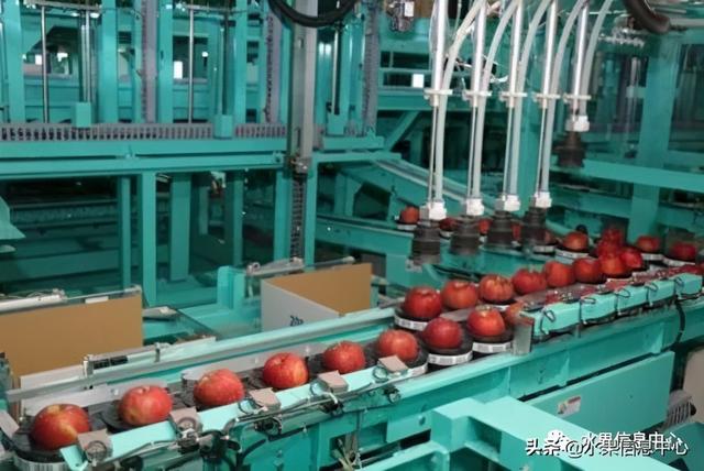 果蜜是什么，柠檬果蜜是什么（走进日本苹果第一大县“青森县”）