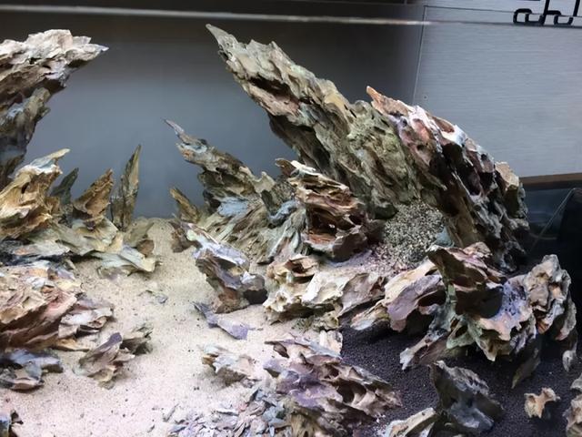 2,如何挑选一个合适自己的鱼缸(六)——造景材料的选择