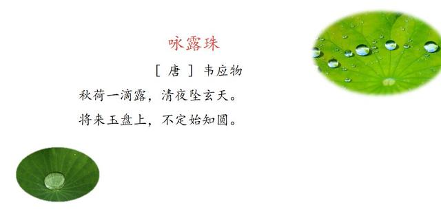 吟组词，吟组词辽组词（部编版四年级上册第9课《古诗词三首》图文讲解）