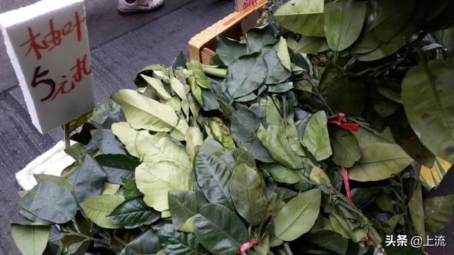 柚子叶去晦气的方法，用柚子叶辟邪讲究什么（如何成为广东人的转运密码）