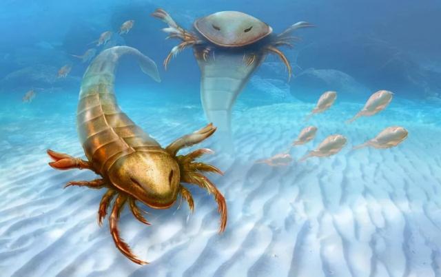 宇宙进化系统，为什么只有人类进化出高度发达的大脑