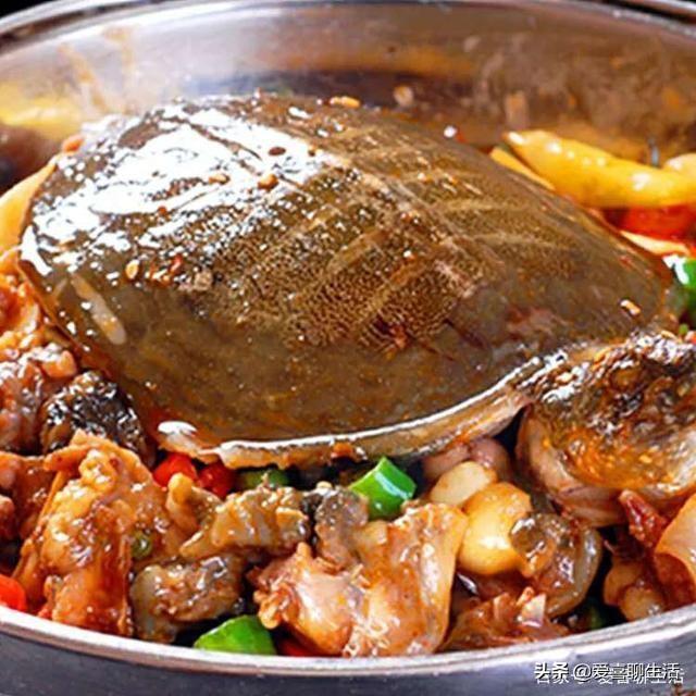 甲鱼怎么做才好吃，活甲鱼怎么处理好吃（跟饭店大厨学一招）