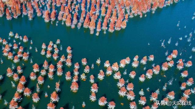 关于火星的资料，关于火星的资料100字（火星和地球有何不同）