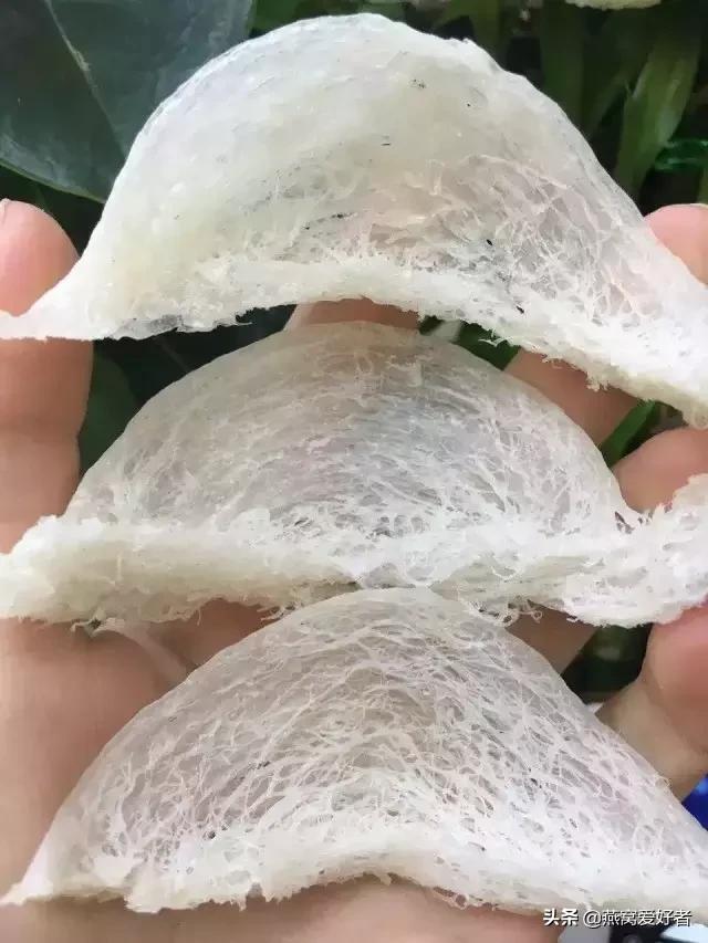 血燕是什么,血燕是什么味道(血燕是燕子吐血而成) 血燕是什么,血燕是什么味道(血燕是燕子吐血而成)