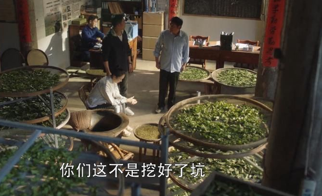 顾佳茶厂事件，顾佳最后把茶厂做起来了吗（顾佳\