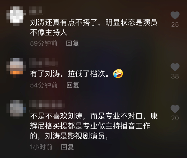 刘涛个人资料及简介，刘涛个人简历（却被指不配和康辉同台）