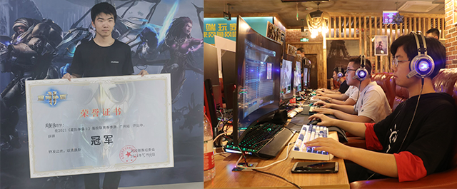 柳丁是什么，年轻人的星际争霸（柳丁是什么鸟）