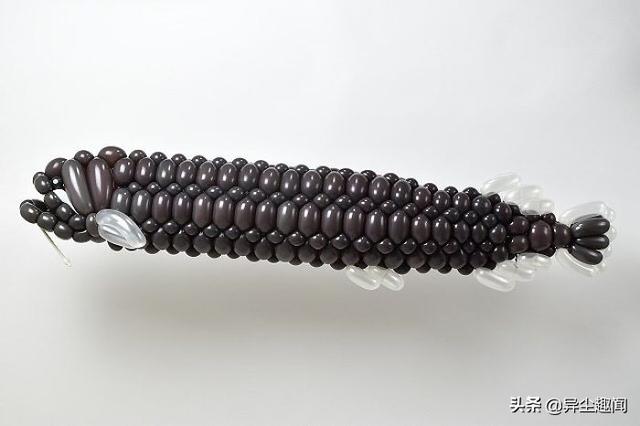 用气球做小动物教程，教你用气球做小狗的方法（日本艺术家用气球制作了令人难以置信的动物模型）