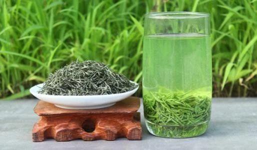 信阳毛尖是绿茶吗，中国最好毛尖茶排名（河南人最喜欢喝的茶）
