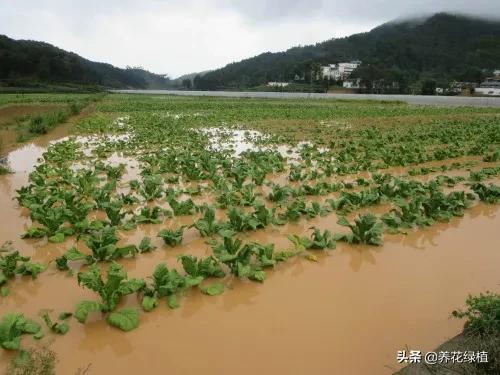 立夏是什么时候，这天刮东西南北风各有什么预兆