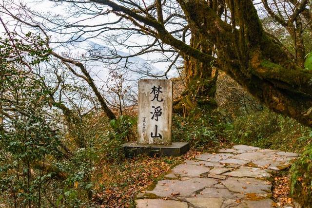 梵净山在哪里呢，梵净山在哪里个省哪个市（北半球最古老的生态乐园）