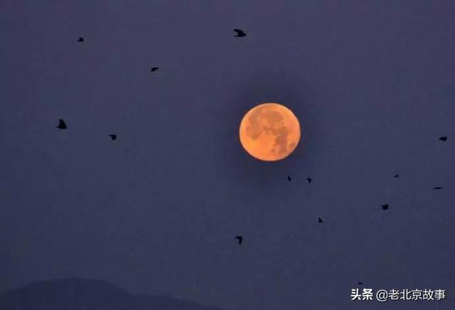 北京公主坟的来历，公主坟的来历（北京人的公主坟回忆）