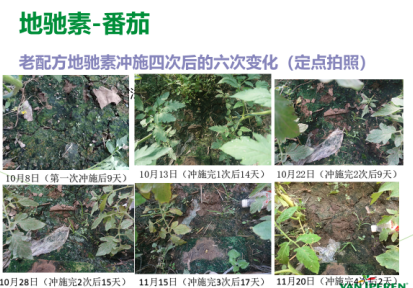 五色土哪里能买到，五色土紫砂壶怎么样（用了地驰素万年流传下来的\