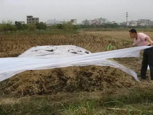 黑光灯价格多少钱，黑光灯的价格（如何科学地降低果园管理成本）