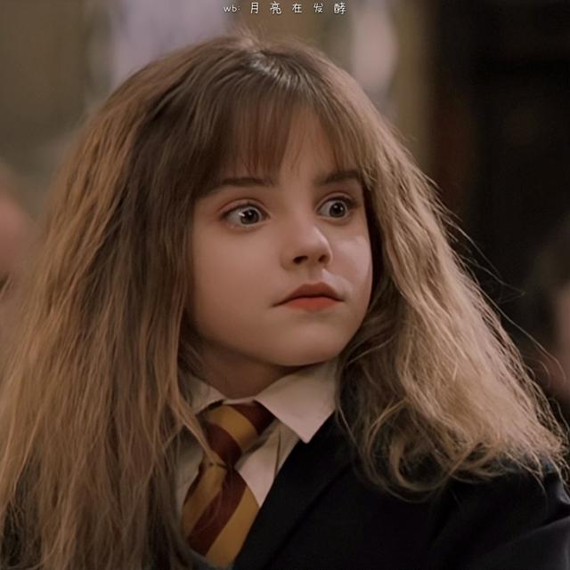 赫敏·格兰杰小天使［哈利.波特］，哈利波特女主角赫敏格兰杰（小赫敏感觉毛茸茸的图片）
