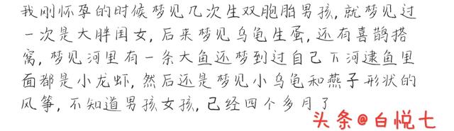 梦见黑母猪带一群小猪寓意，梦见老母猪带一群小猪是什么意思（怀孕时都梦过什么）