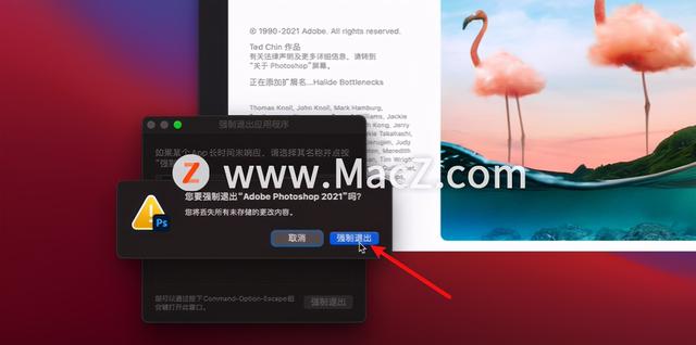 ps闪退是什么原因，Ps经常闪退的罪魁祸首（闪退、卡启动界面解决方法）