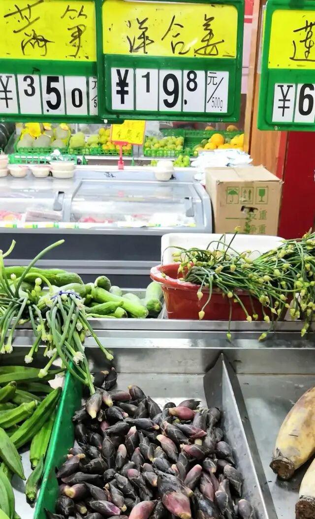 洋荷姜什么人不能吃，洋荷姜什么人不能吃呢（湖北十堰特色蔬菜阳荷姜）