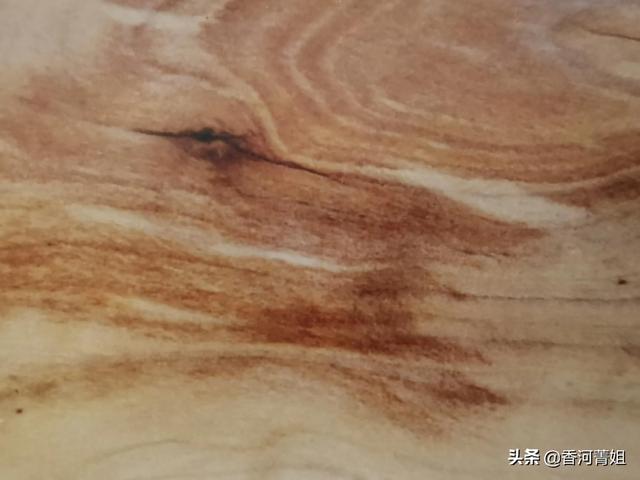 梨树又称什么树，梨树又称什么树呢（梨树～<硬木>）