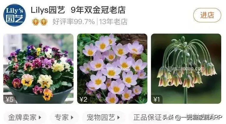 淘宝网花店(淘宝商城花卉市场)