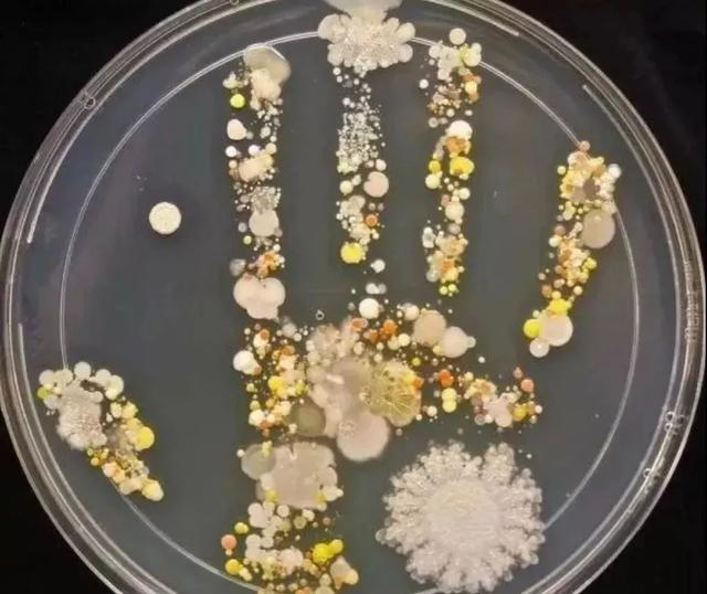 酒精棉片是干什么用的，酒精棉片是干什么用的杂牌（外出好物“酒精棉片”）