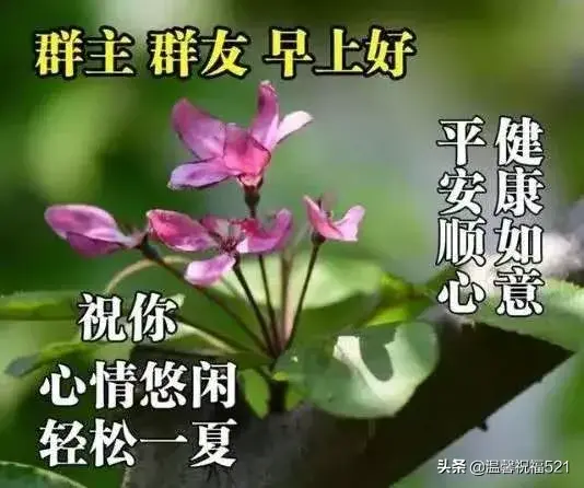 送花祝福语简短，送花简短祝福语（非常精美的鲜花早安动态图片带字带祝福语）