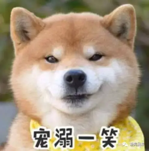 旺柴是什么意思，微信新增10款表情包