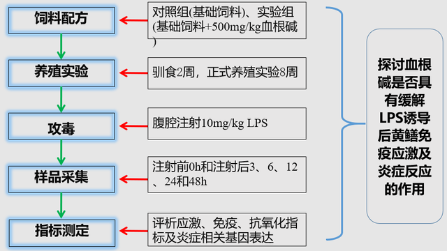 博落回的功效与作用，博落回有什么功效（博落回的性状与作用如何？其用法与用量怎样）
