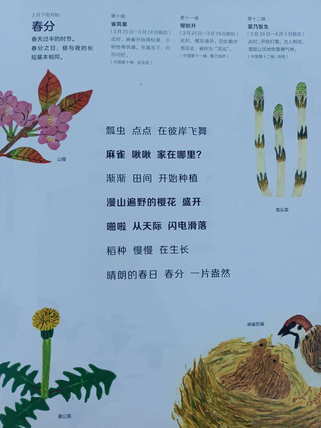 四季是按什么划分的，四季是如何划分（一年四季二十四节气）